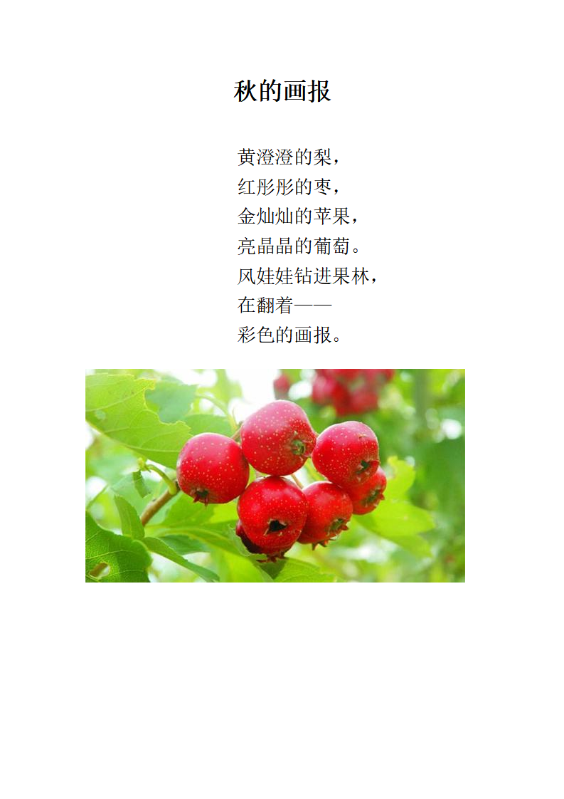 大班语言《秋的画报》微反思_01.png