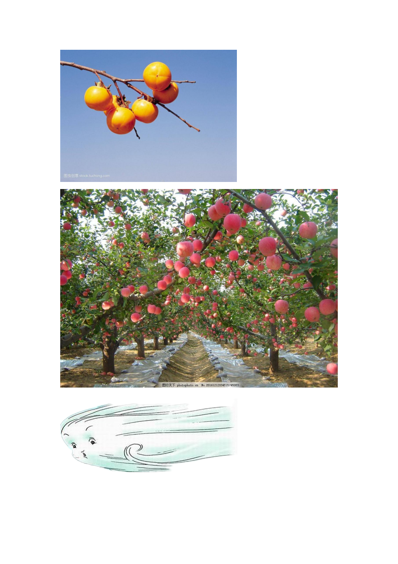 大班语言《秋的画报》微反思_04.png