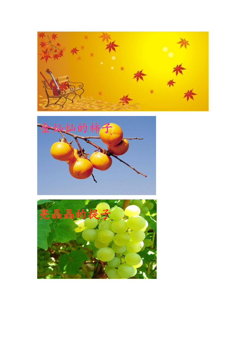 大班语言《秋的画报》微反思_14.png