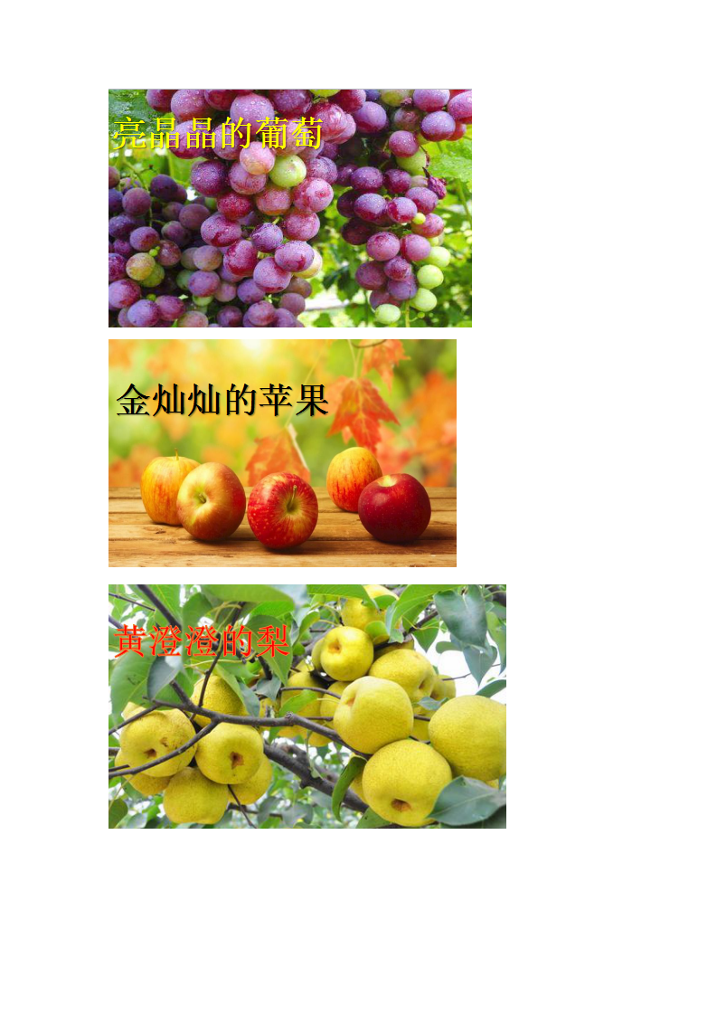 大班语言《秋的画报》微反思_16.png