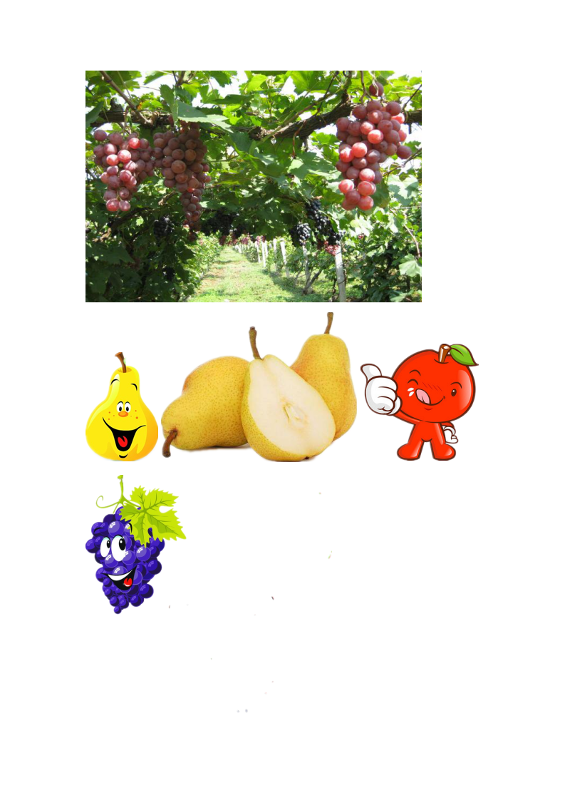 大班语言《秋的画报》微反思_17.png