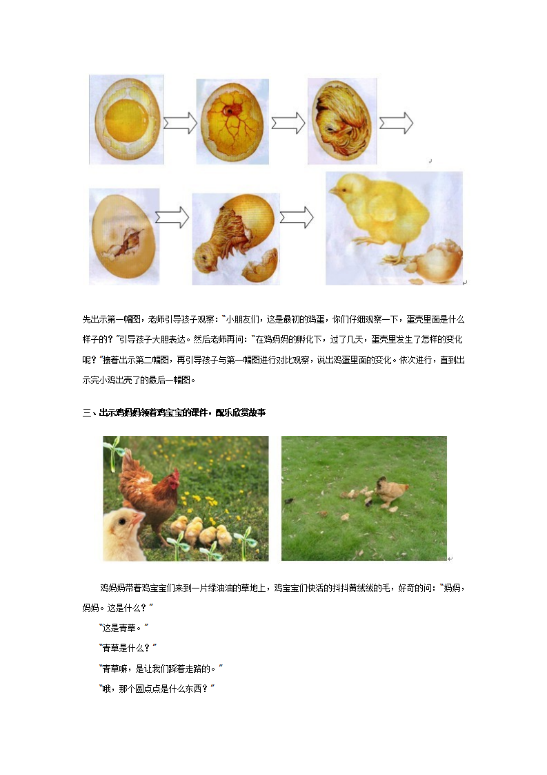 中班科学活动：小鸡出壳了_02.png