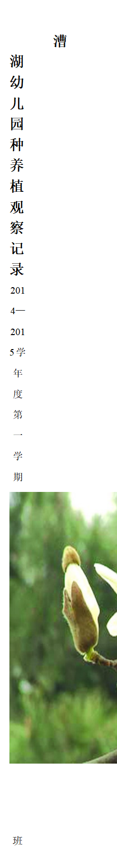 幼儿园自然角观察记录表格_01.png