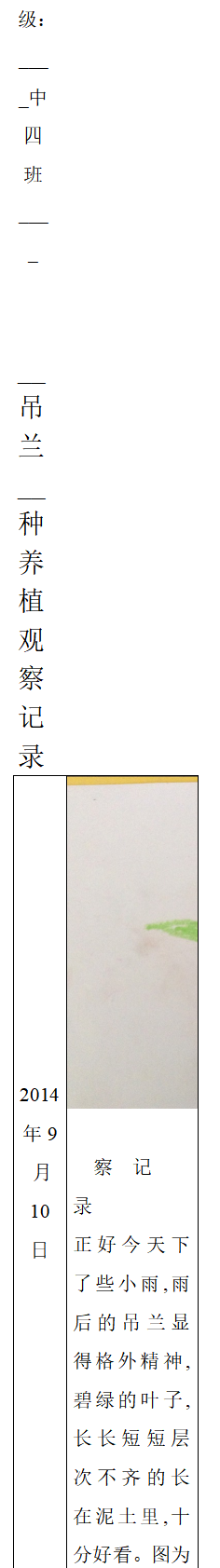 幼儿园自然角观察记录表格_02.png