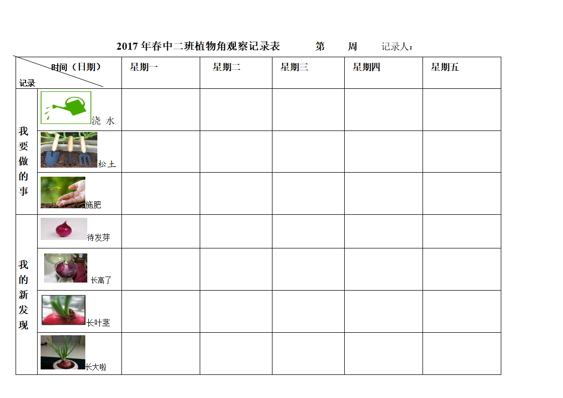 幼儿园植物观察记录表洋葱_01.png