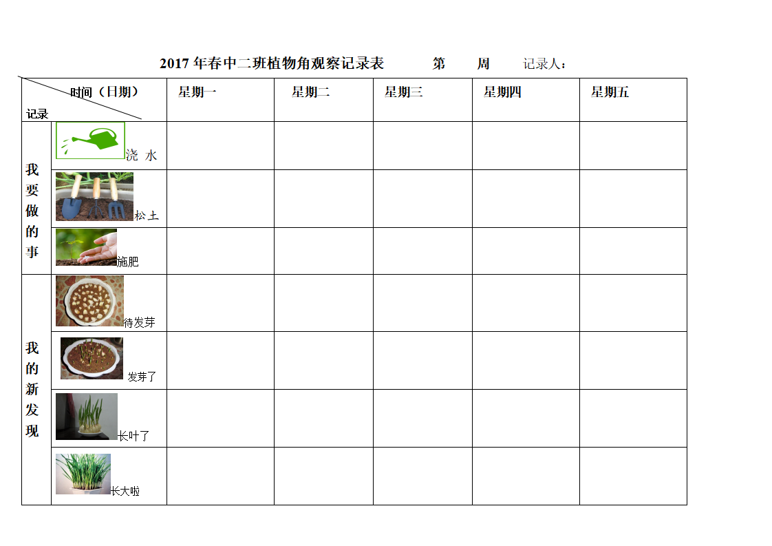 幼儿园植物观察记录表大蒜_01.png