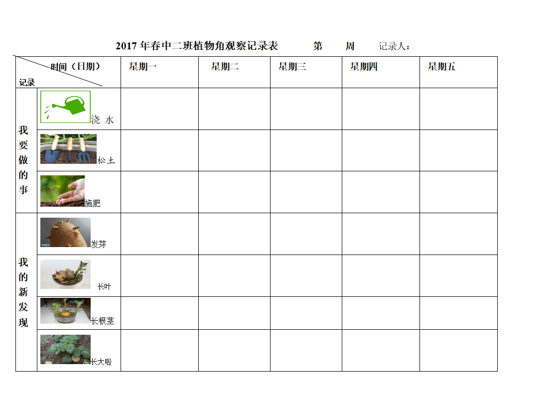 幼儿园植物观察记录表土豆_01.png