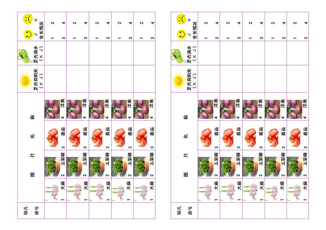幼儿园植物观察记录表5_02.png