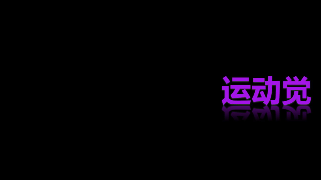 海南PPT终极版_13.png