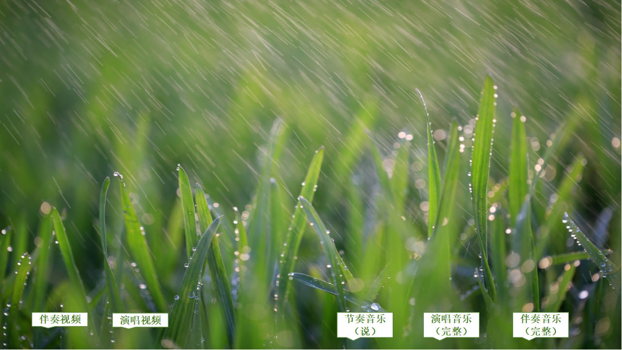春夜喜雨_03.png
