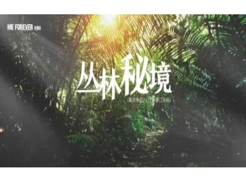 丛林秘境PPT_01.png
