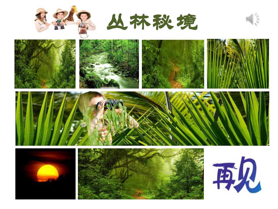 丛林秘境PPT_22.png