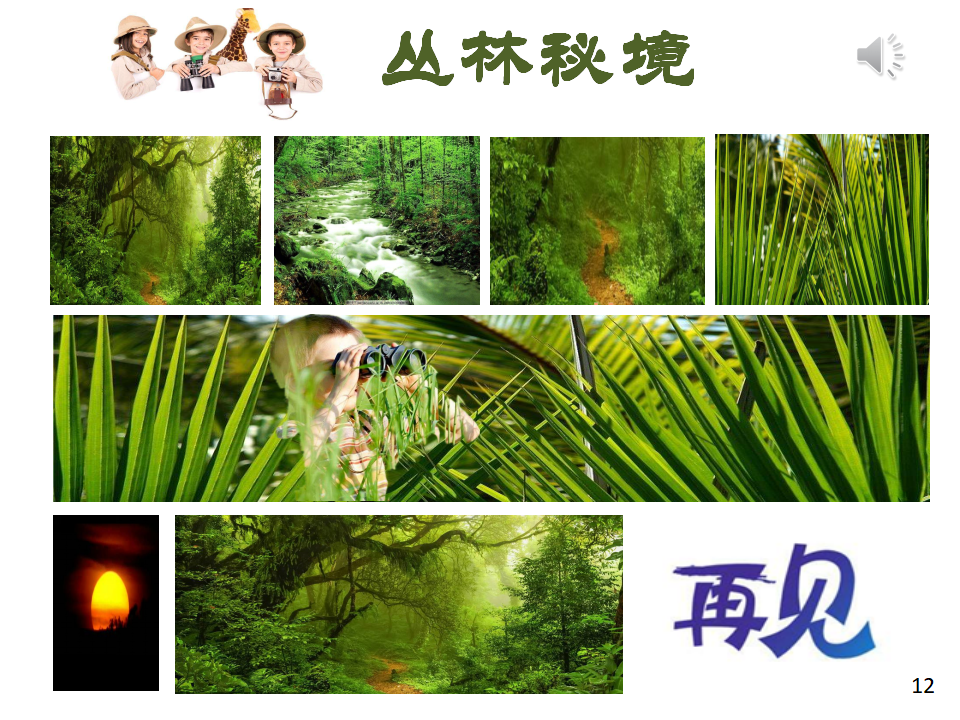 丛林秘境PPT_24.png