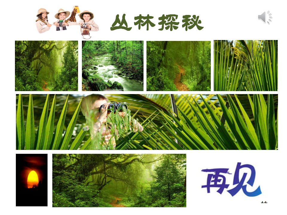 丛林秘境PPT_25.png