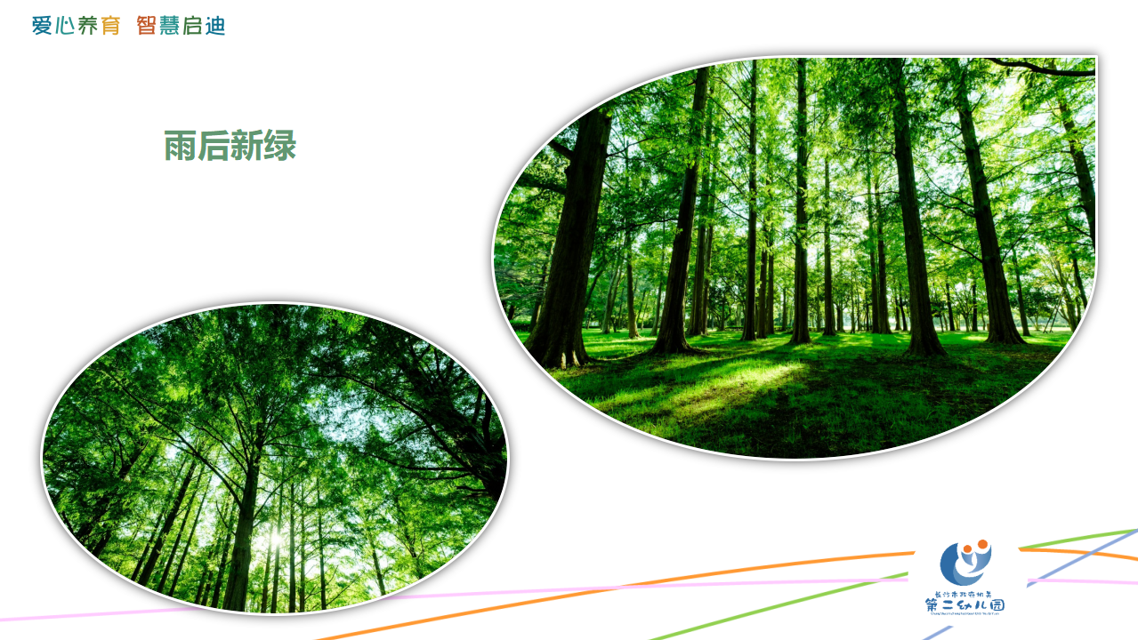 《小露珠》工作坊视频版_09.png