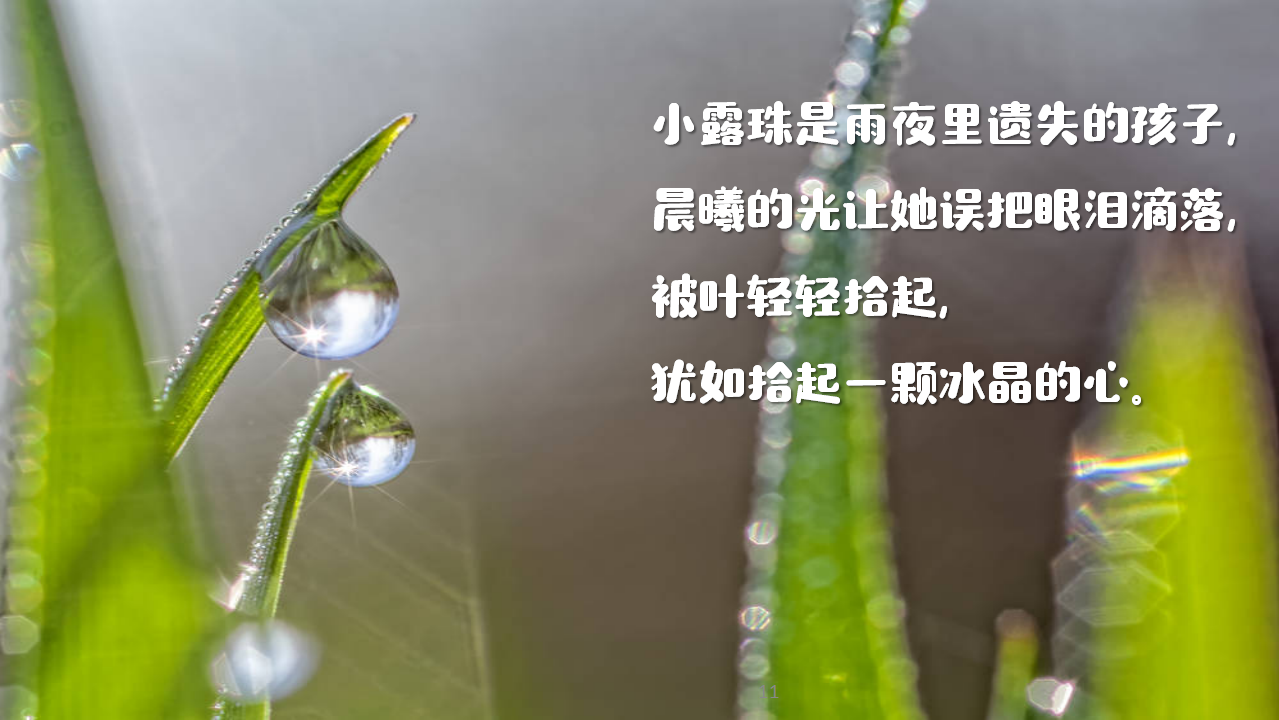 《小露珠》工作坊视频版_11.png