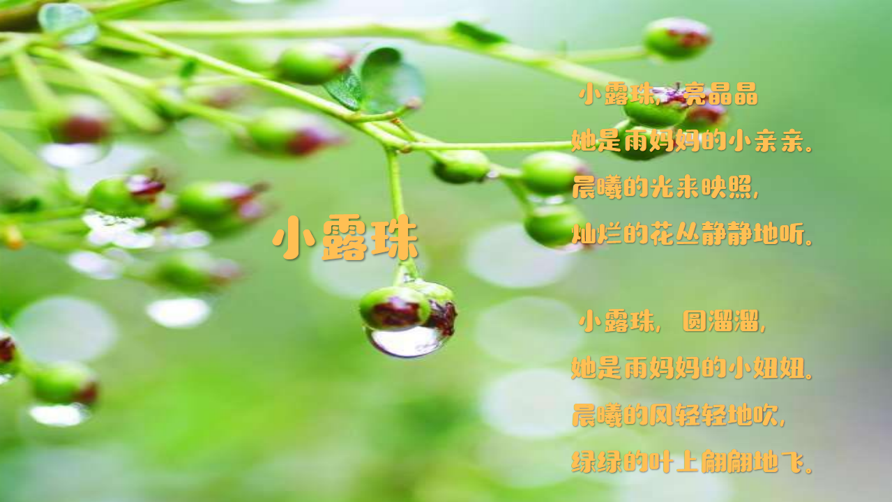 《小露珠》工作坊视频版_12.png