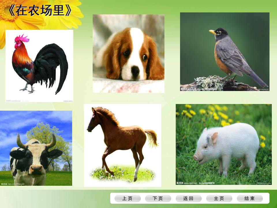 40《以幼儿问本-有效支持、引导幼儿的审美体验与创意表现》_18.png