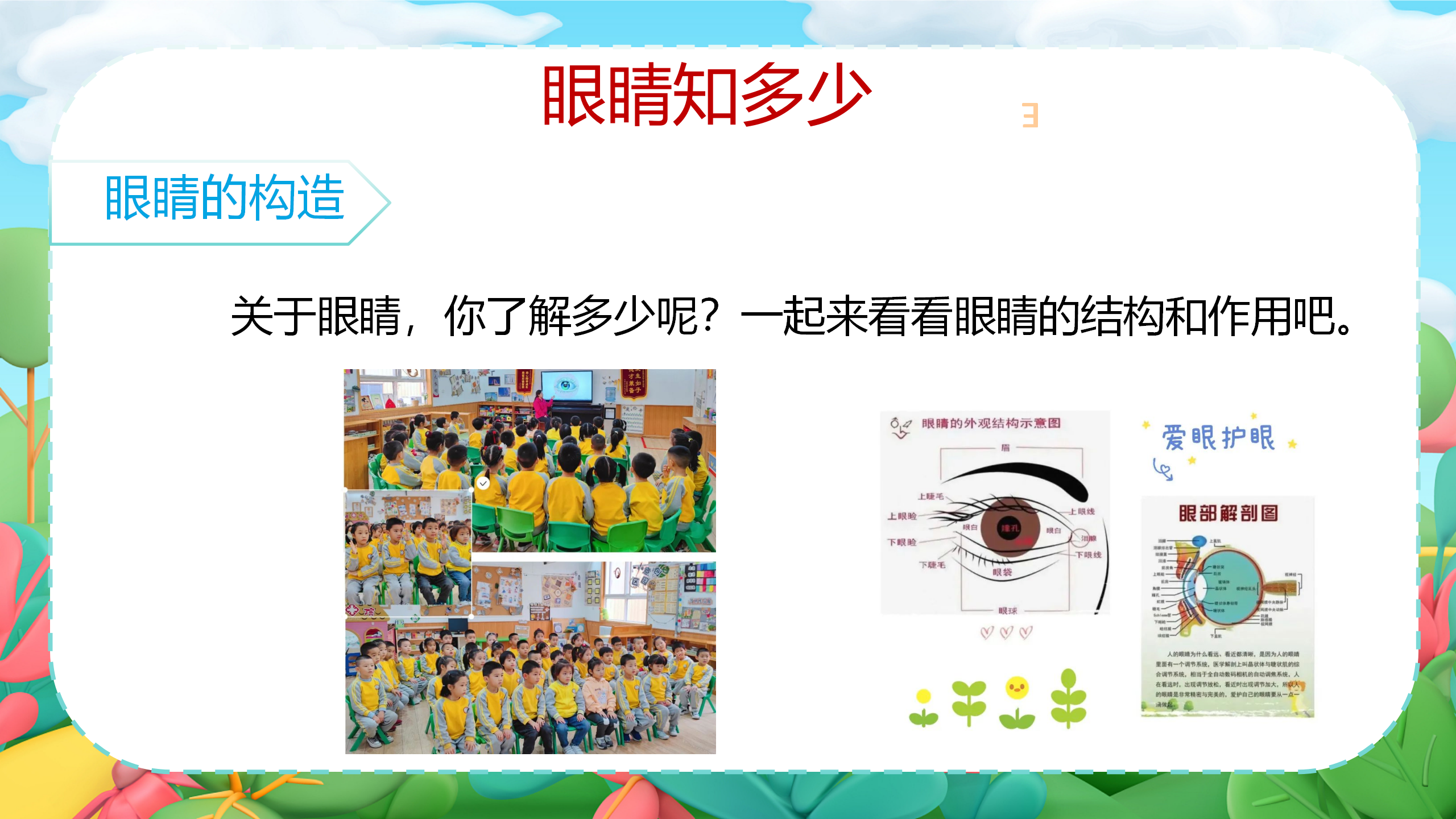 小眼睛大视界_幼儿园班本课程_12.png