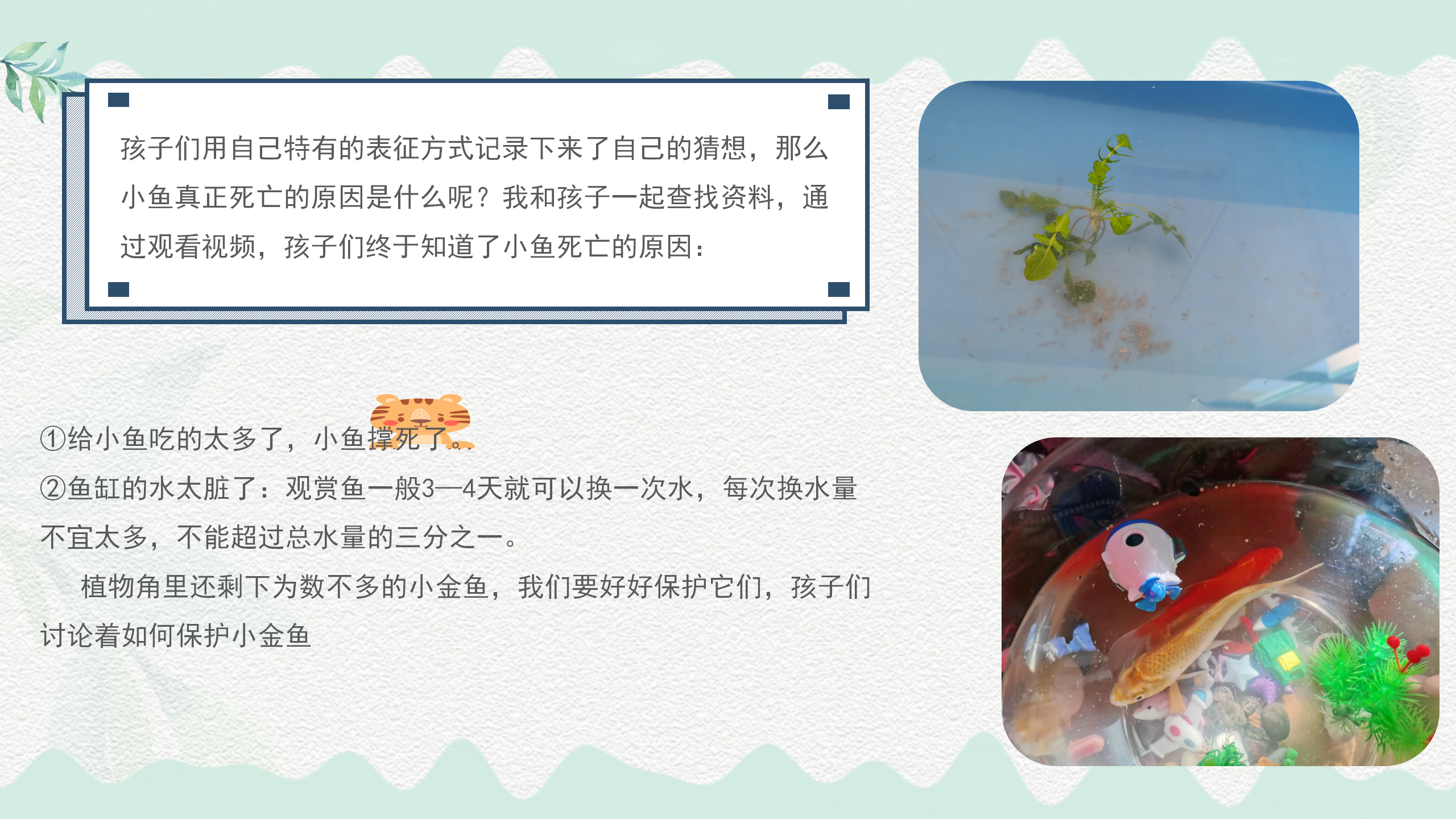 小班课程故事《鱼你在一起》_幼儿园班本课程_13.png