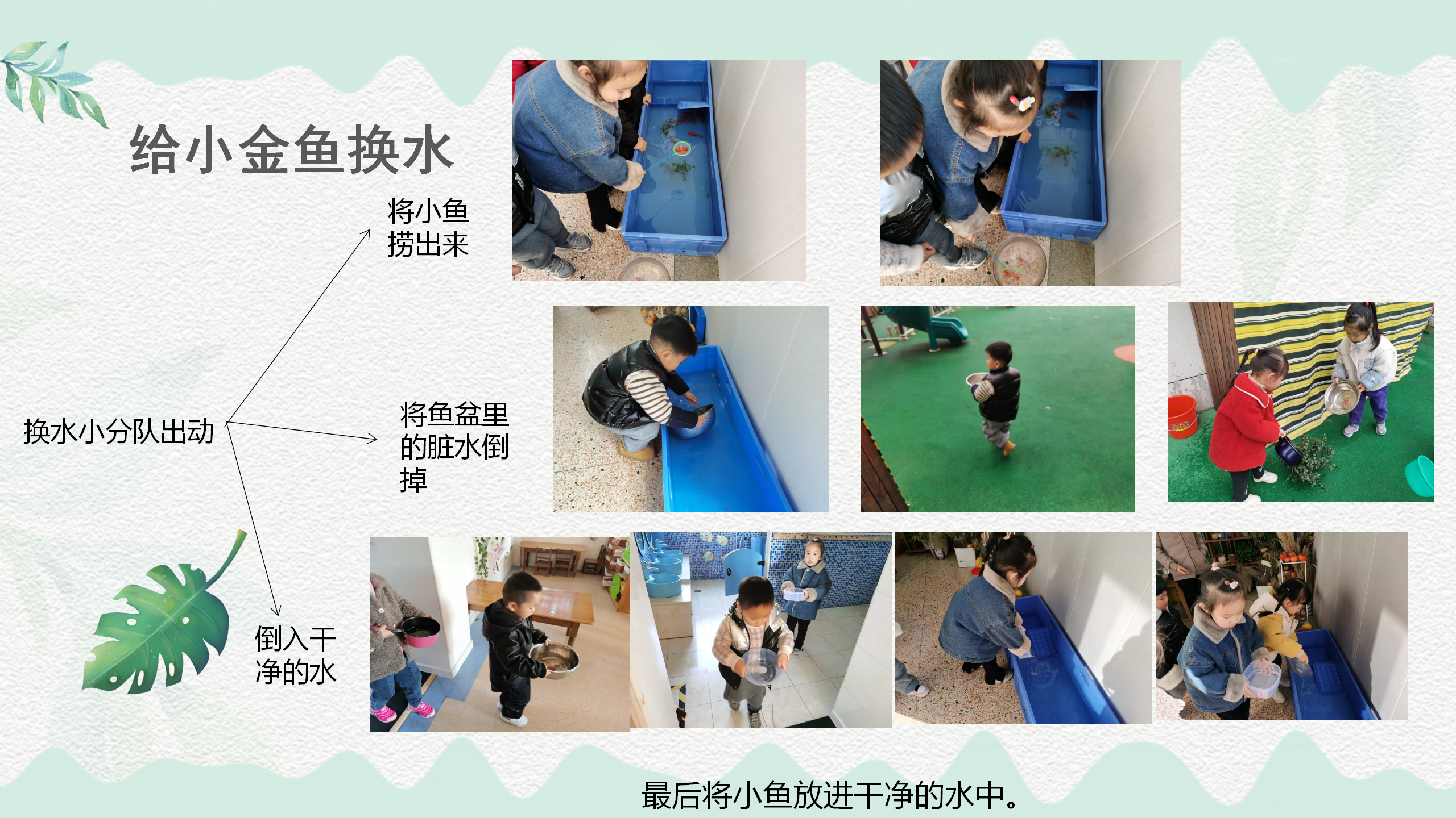 小班课程故事《鱼你在一起》_幼儿园班本课程_15.png