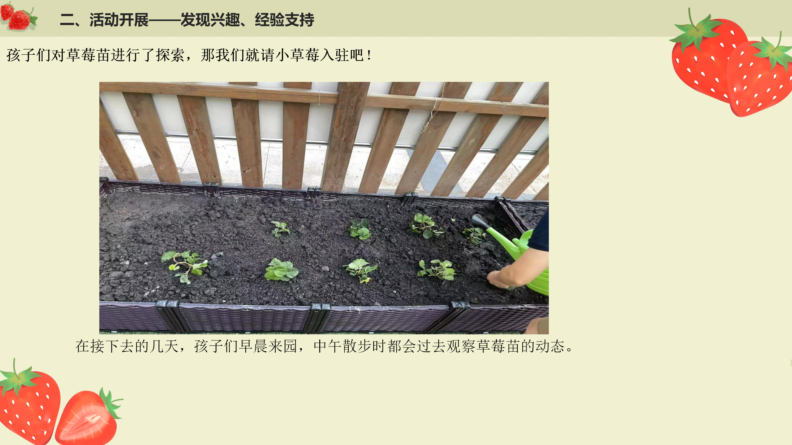 小班课程故事《遇见小“莓”好》_幼儿园班本课程_09.png
