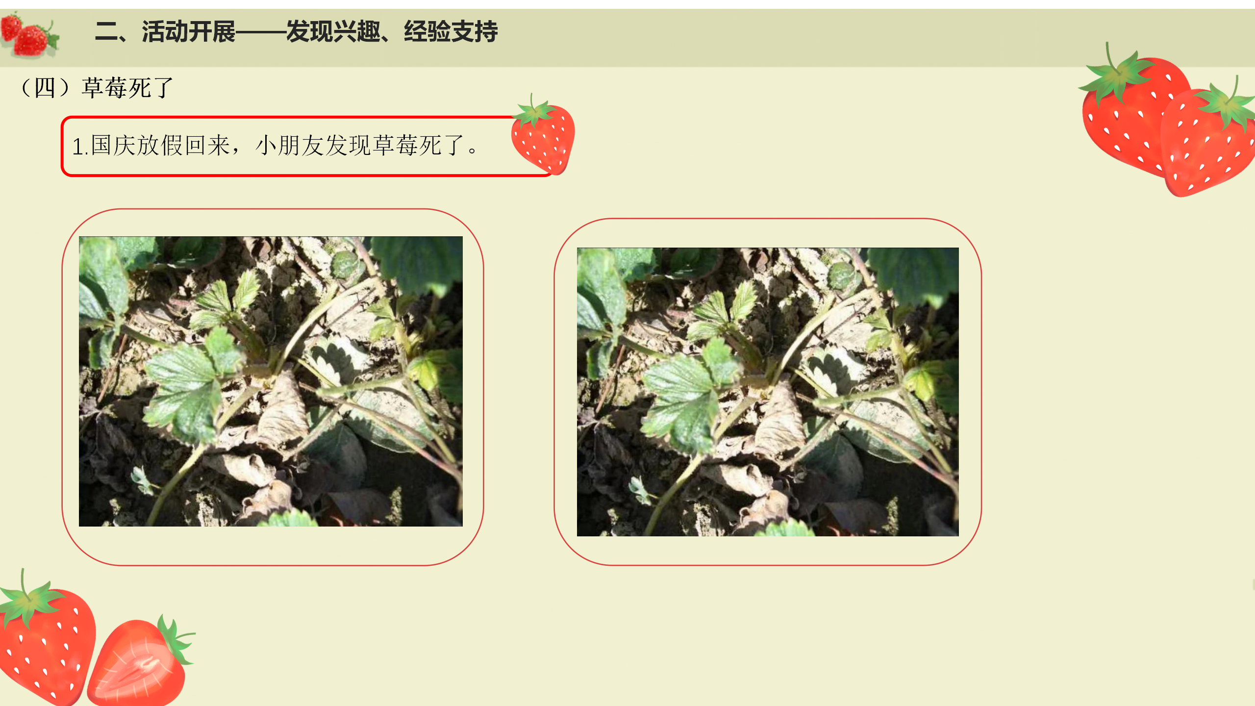小班课程故事《遇见小“莓”好》_幼儿园班本课程_10.png