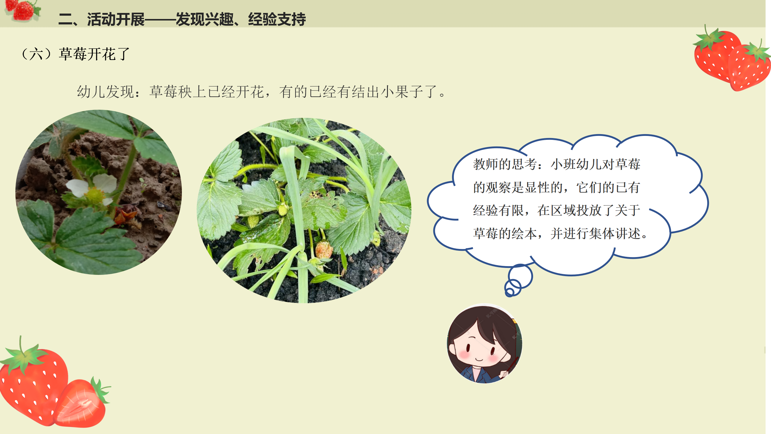 小班课程故事《遇见小“莓”好》_幼儿园班本课程_14.png