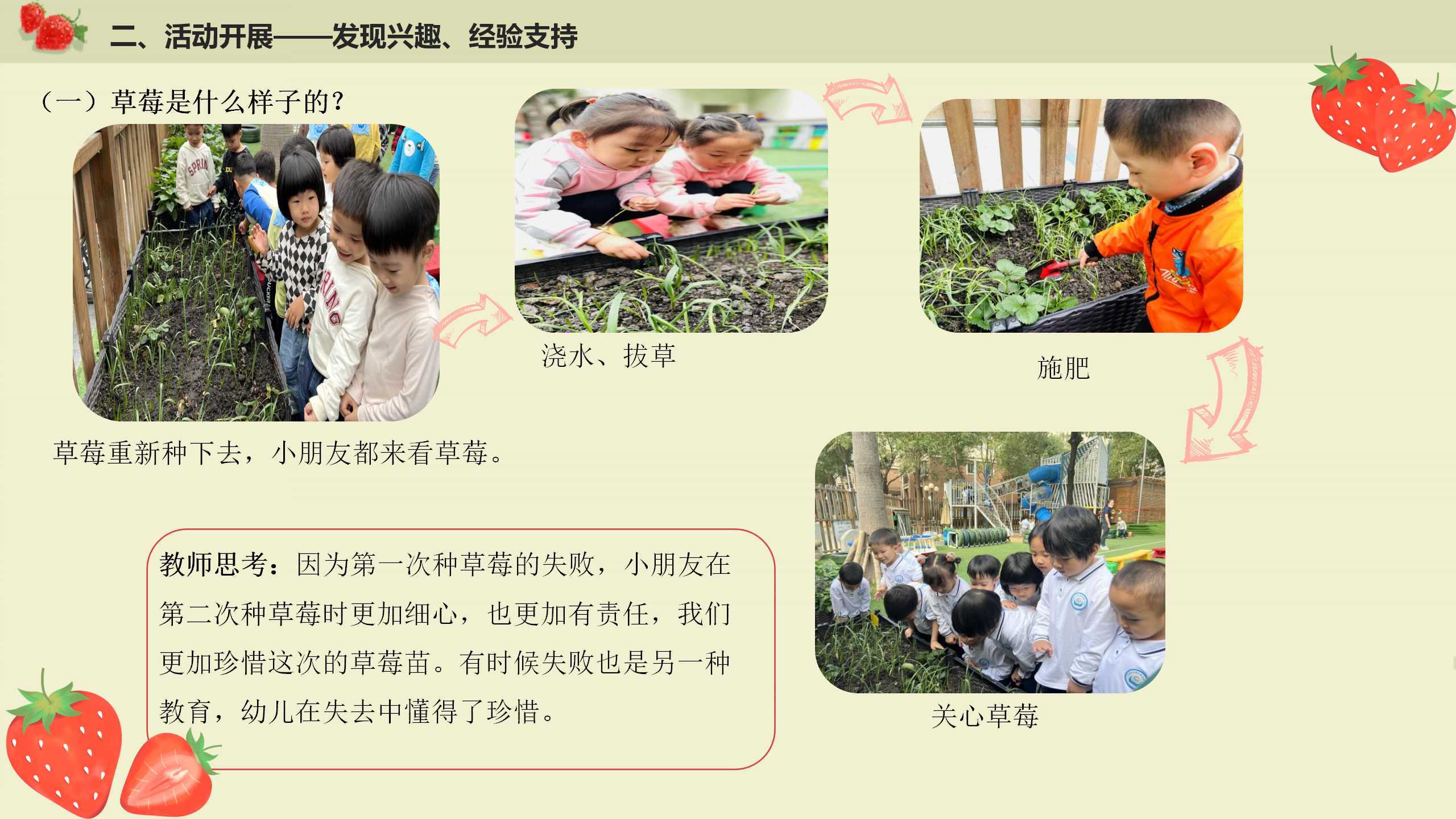 小班课程故事《遇见小“莓”好》_幼儿园班本课程_13.png