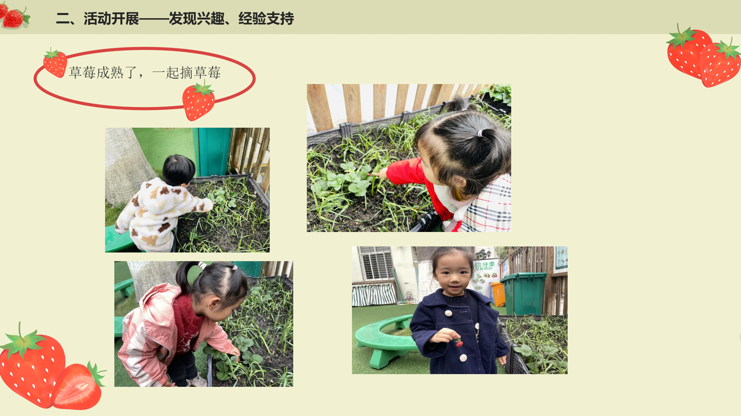 小班课程故事《遇见小“莓”好》_幼儿园班本课程_17.png