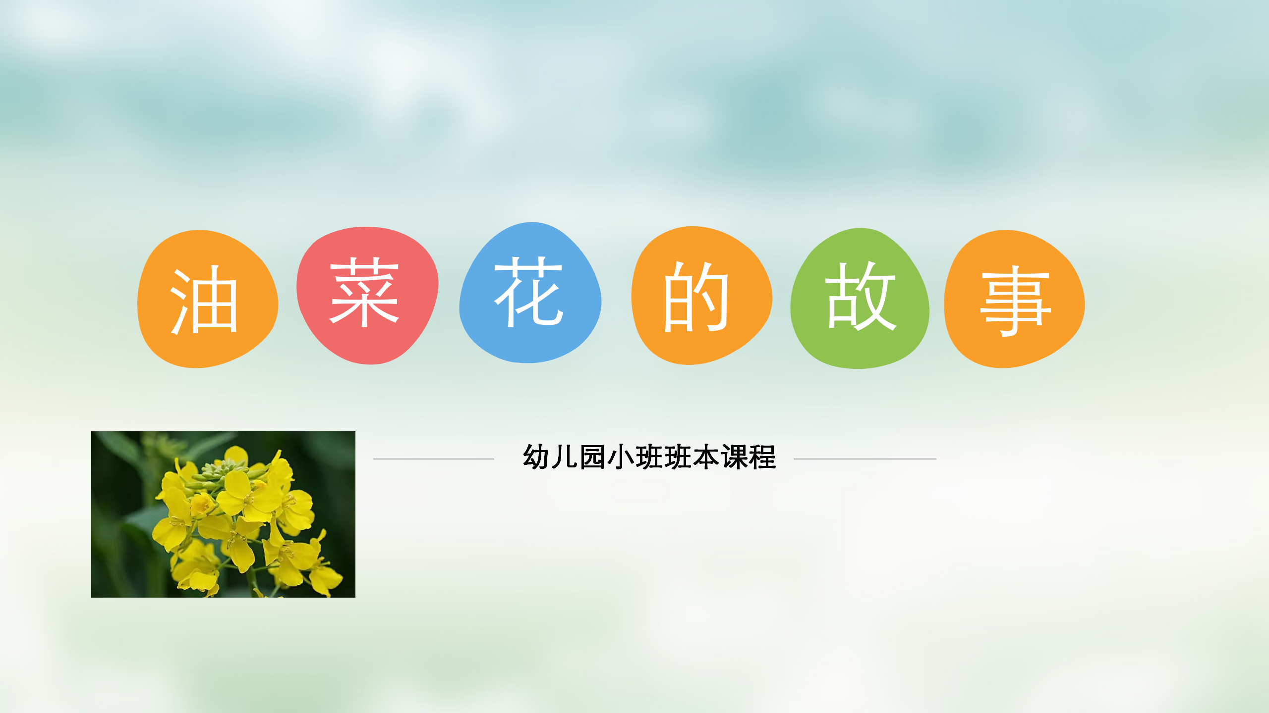 小班课程故事《油菜花的故事》_幼儿园班本课程_01.png