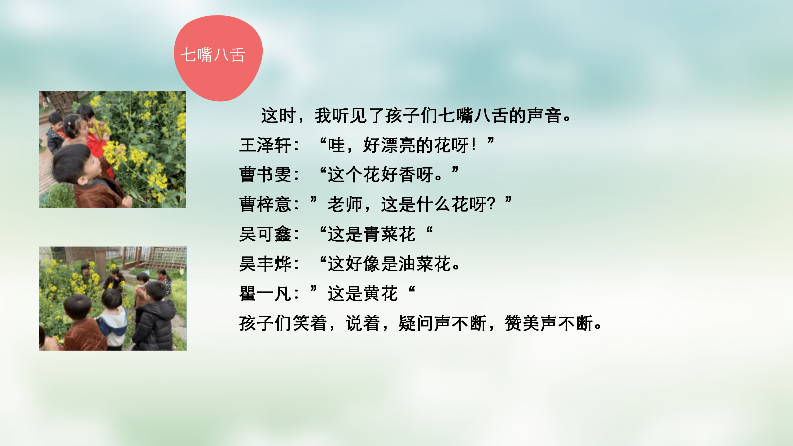 小班课程故事《油菜花的故事》_幼儿园班本课程_04.png