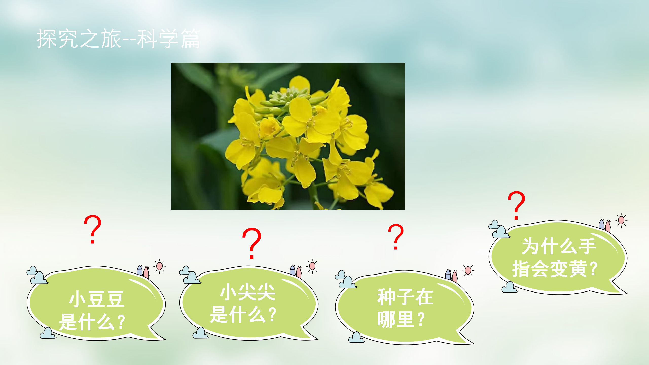 小班课程故事《油菜花的故事》_幼儿园班本课程_10.png
