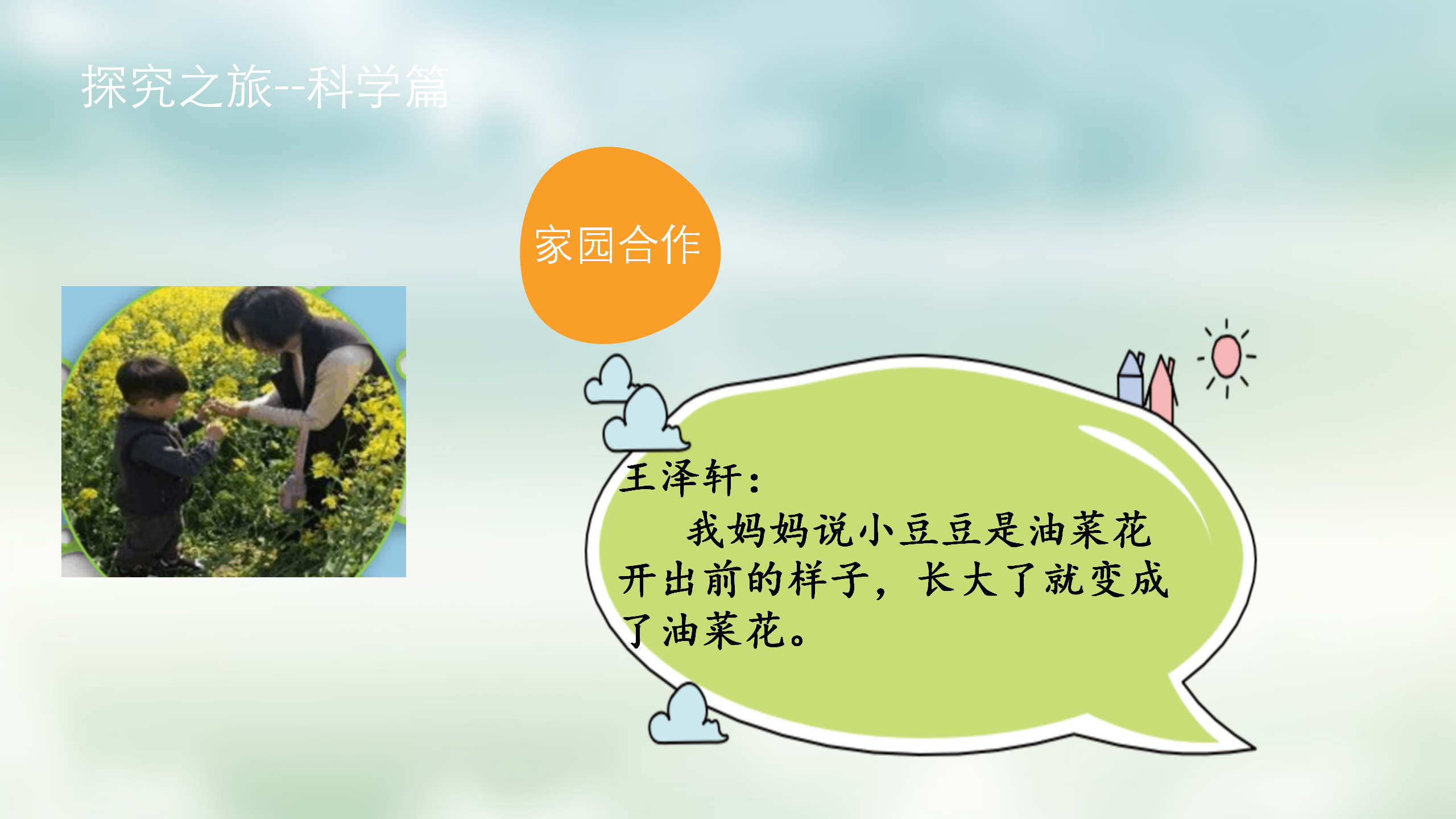 小班课程故事《油菜花的故事》_幼儿园班本课程_12.png