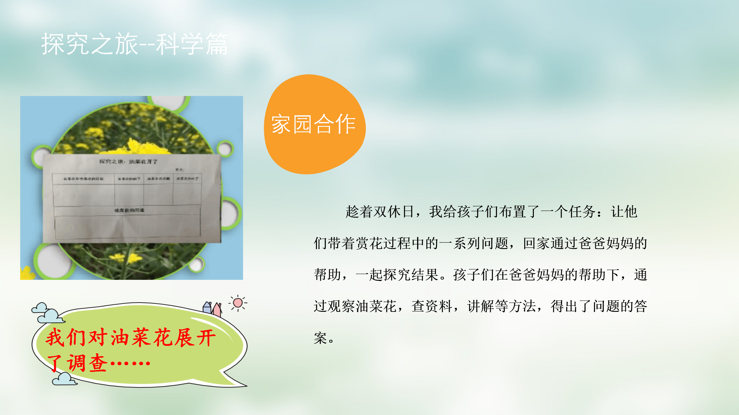 小班课程故事《油菜花的故事》_幼儿园班本课程_11.png