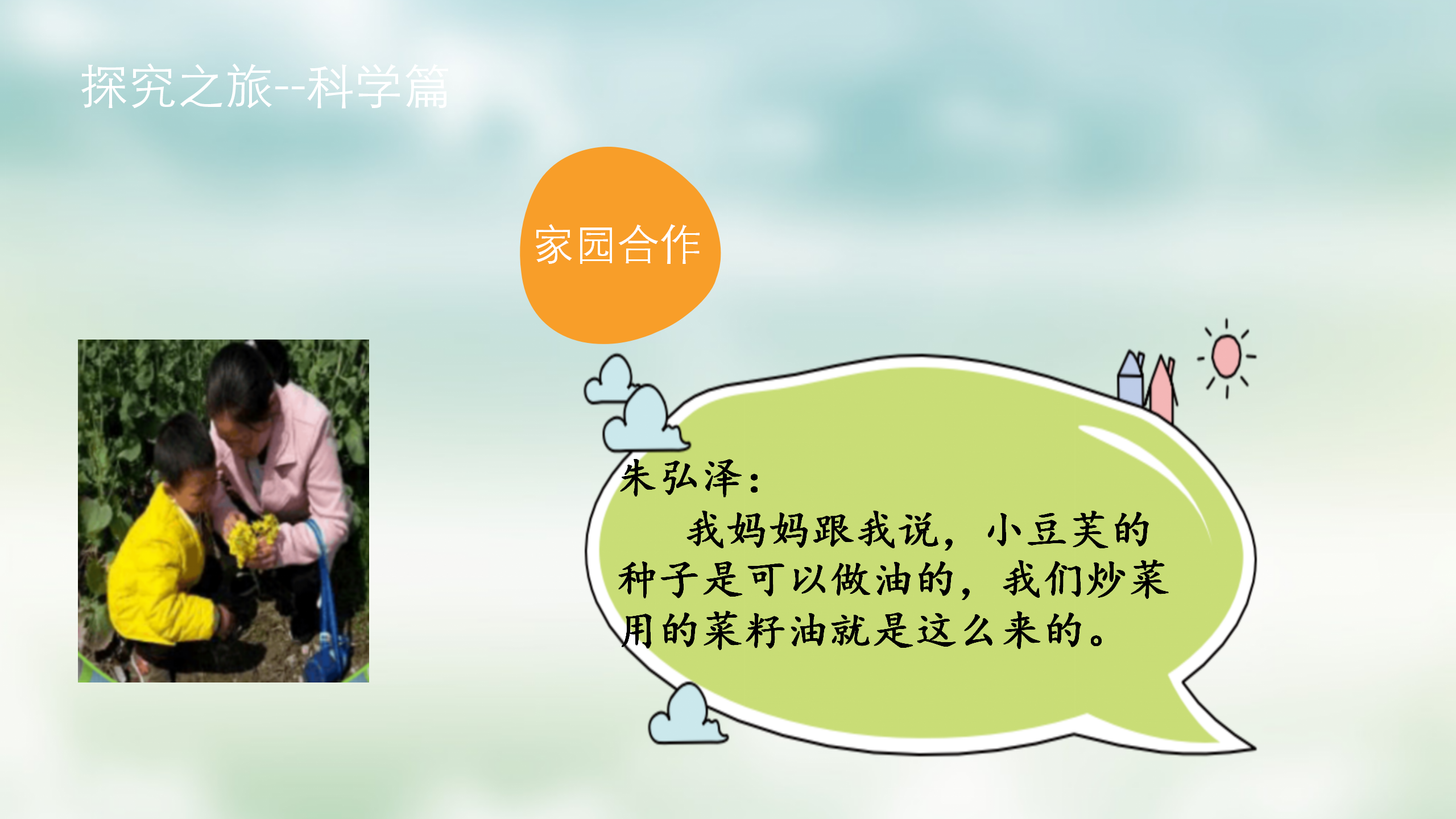 小班课程故事《油菜花的故事》_幼儿园班本课程_13.png