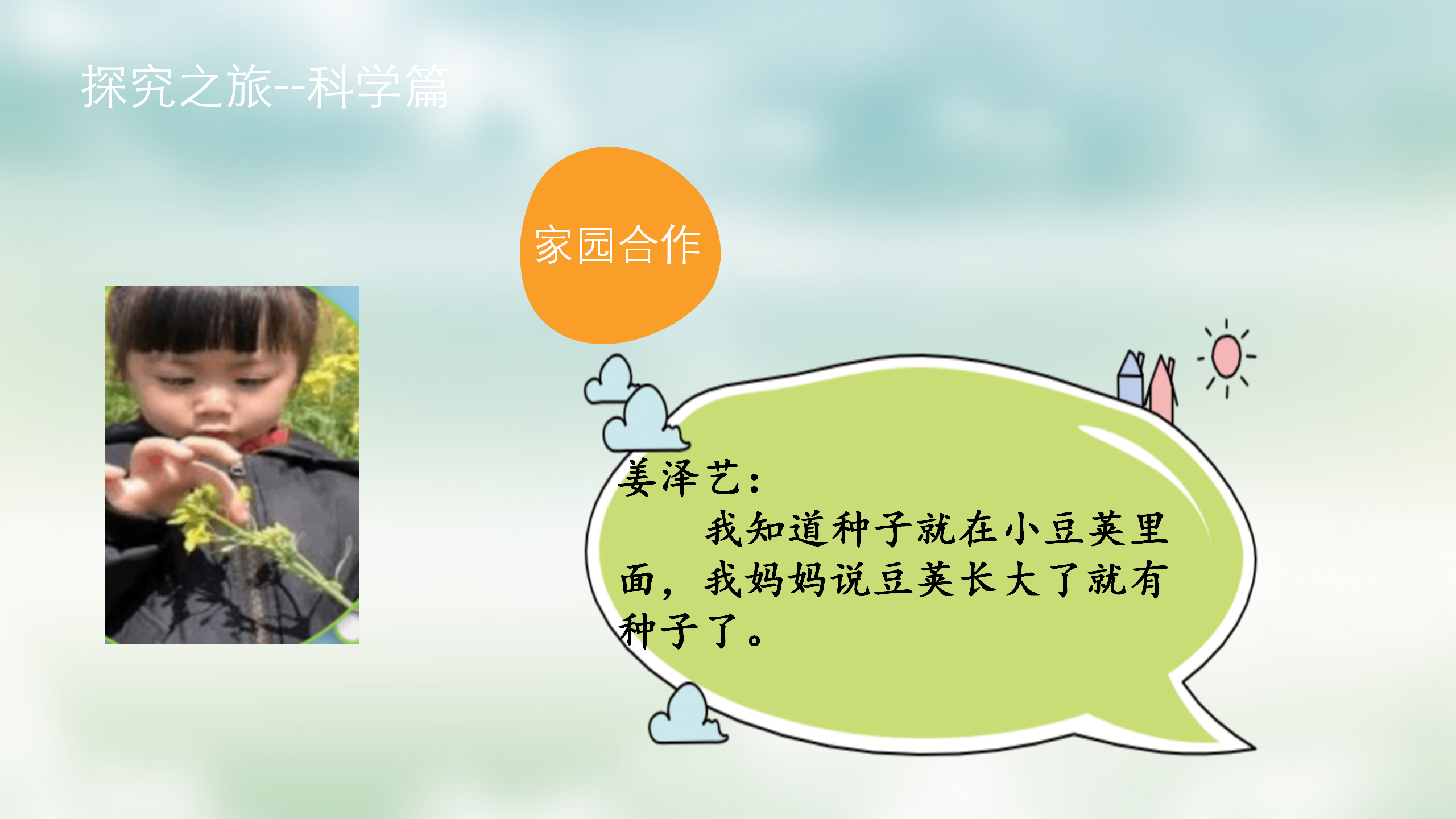 小班课程故事《油菜花的故事》_幼儿园班本课程_14.png