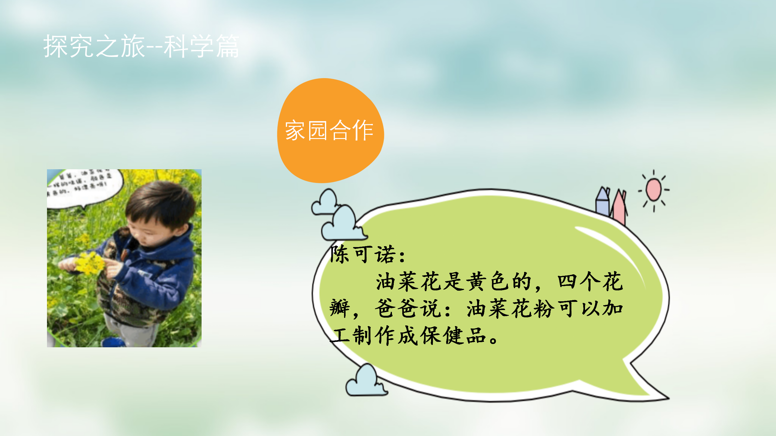 小班课程故事《油菜花的故事》_幼儿园班本课程_15.png
