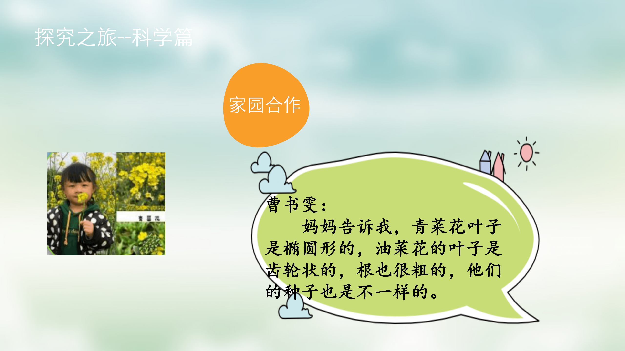 小班课程故事《油菜花的故事》_幼儿园班本课程_16.png