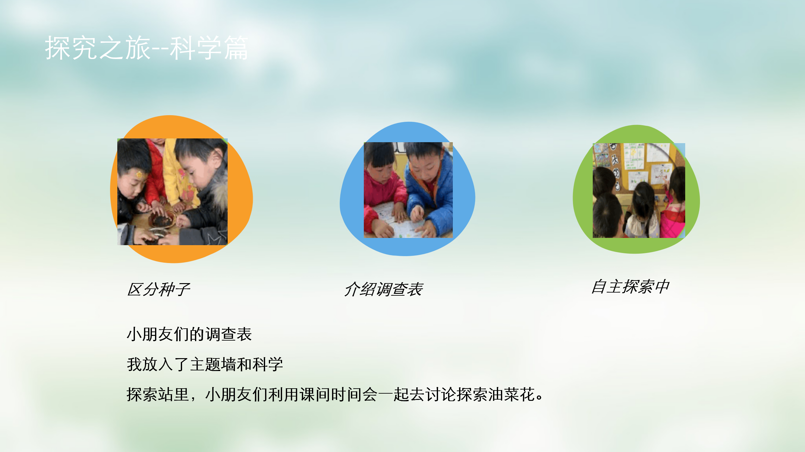 小班课程故事《油菜花的故事》_幼儿园班本课程_18.png