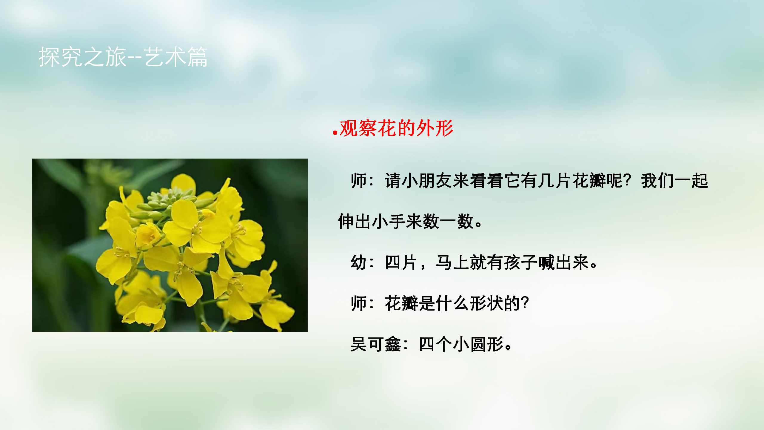 小班课程故事《油菜花的故事》_幼儿园班本课程_20.png