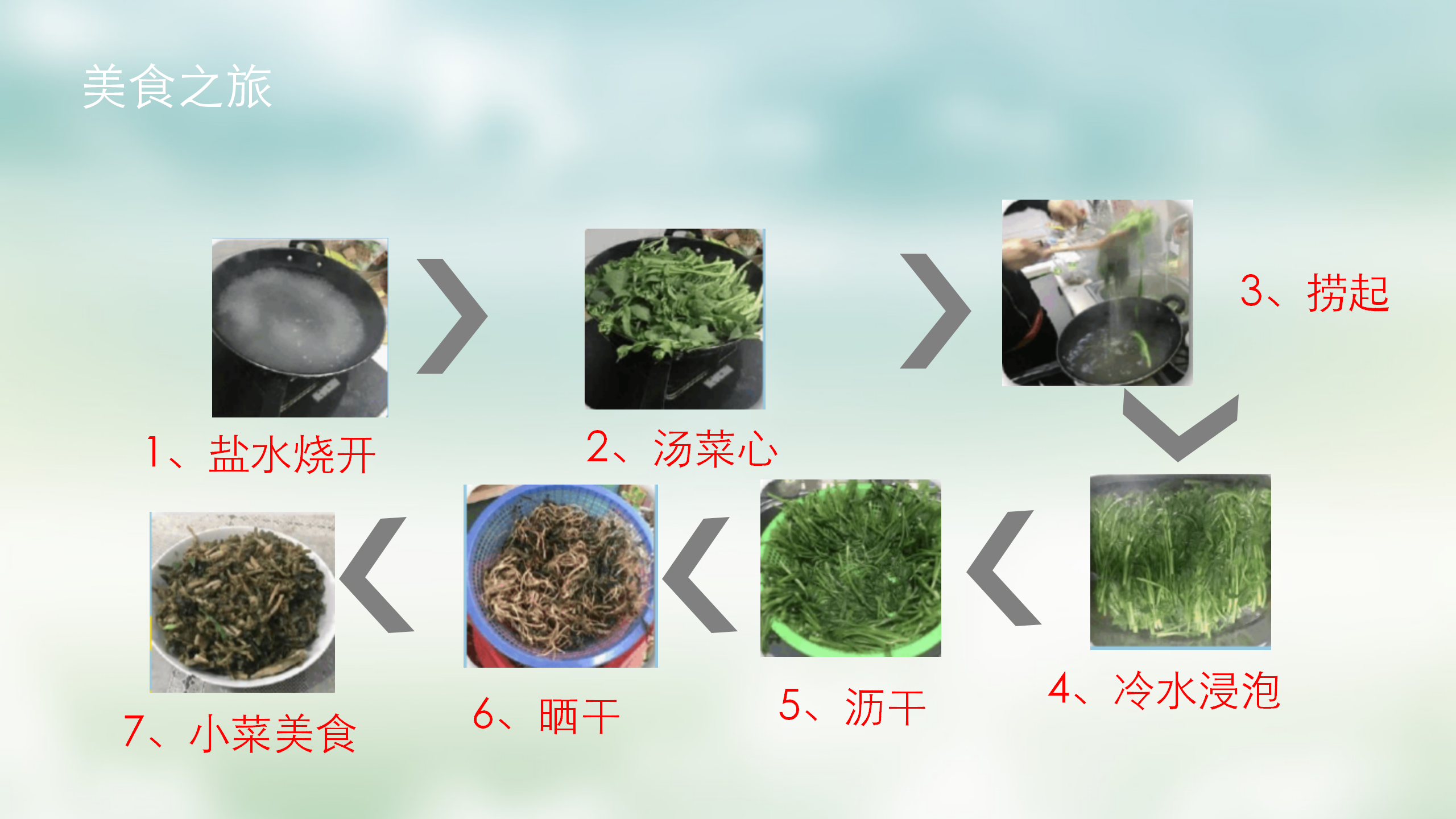 小班课程故事《油菜花的故事》_幼儿园班本课程_26.png