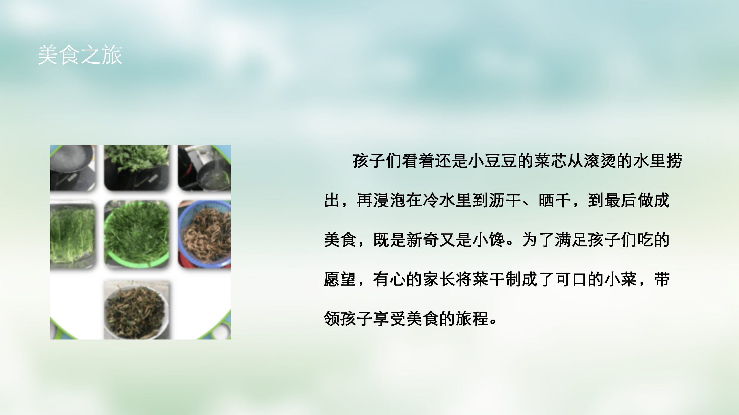 小班课程故事《油菜花的故事》_幼儿园班本课程_27.png