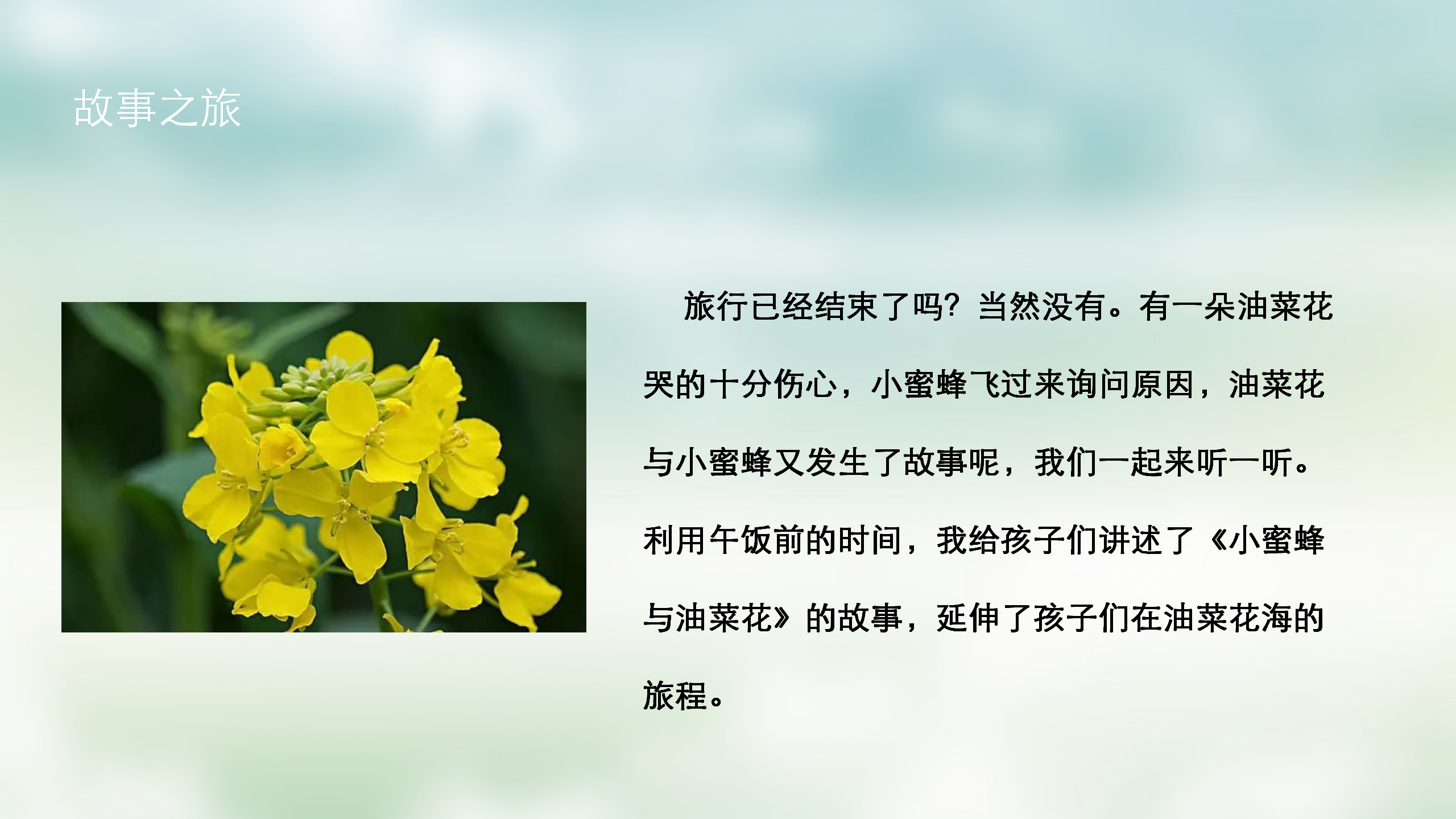 小班课程故事《油菜花的故事》_幼儿园班本课程_31.png