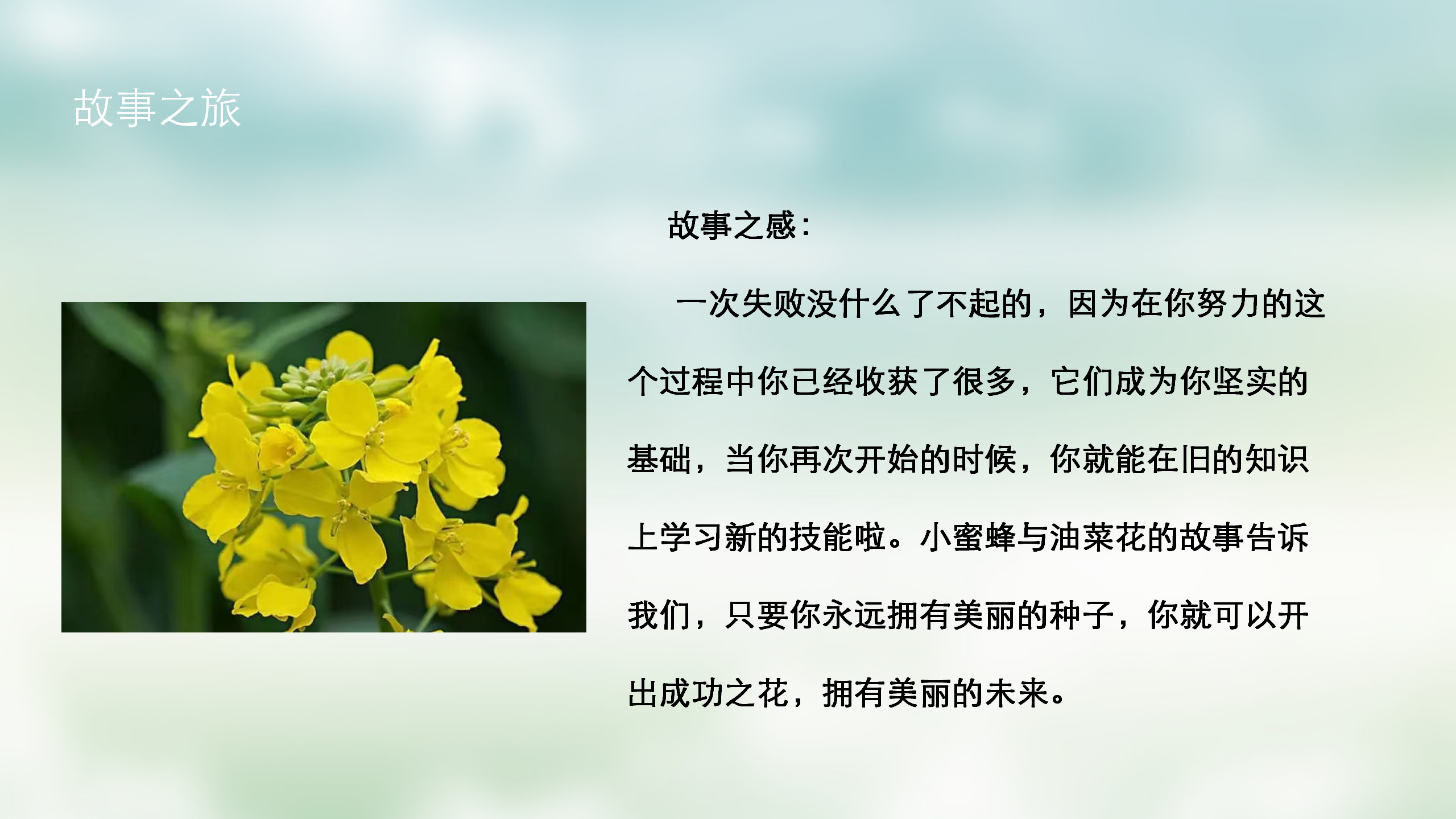 小班课程故事《油菜花的故事》_幼儿园班本课程_33.png
