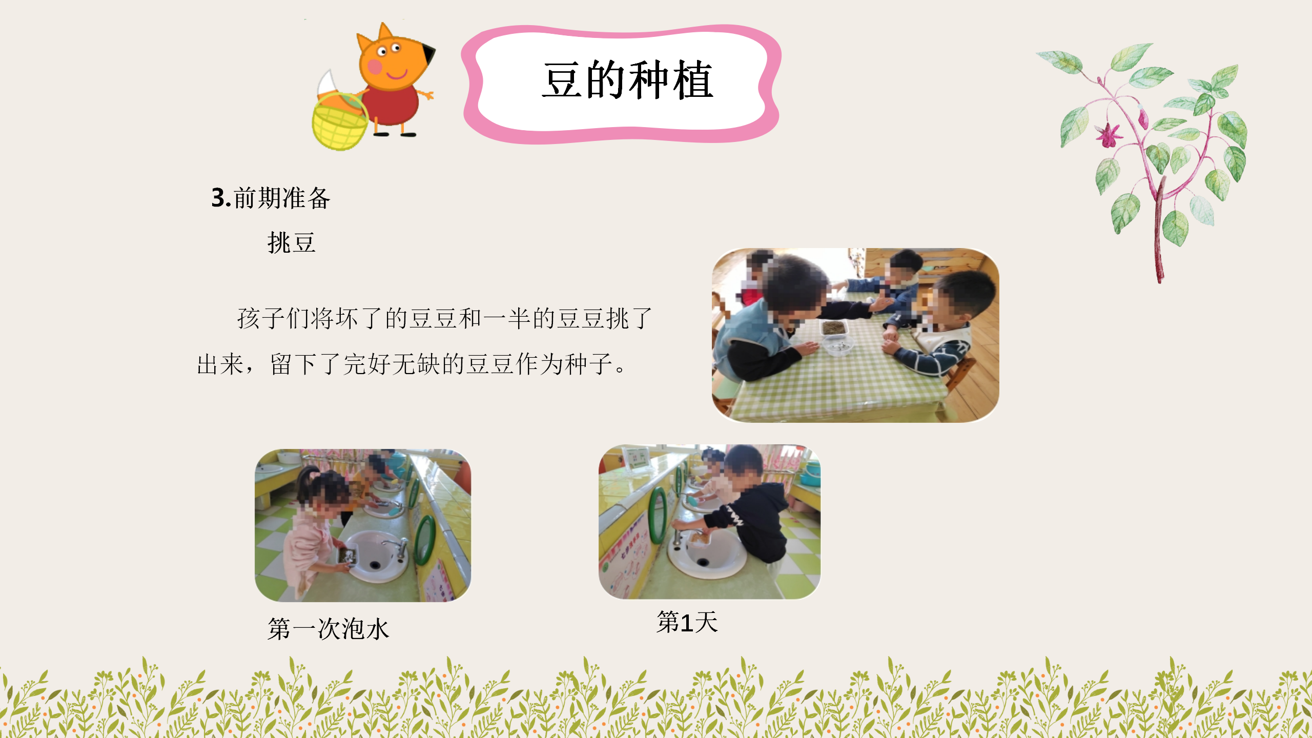 小班课程故事《因豆而起》_幼儿园班本课程_16.png