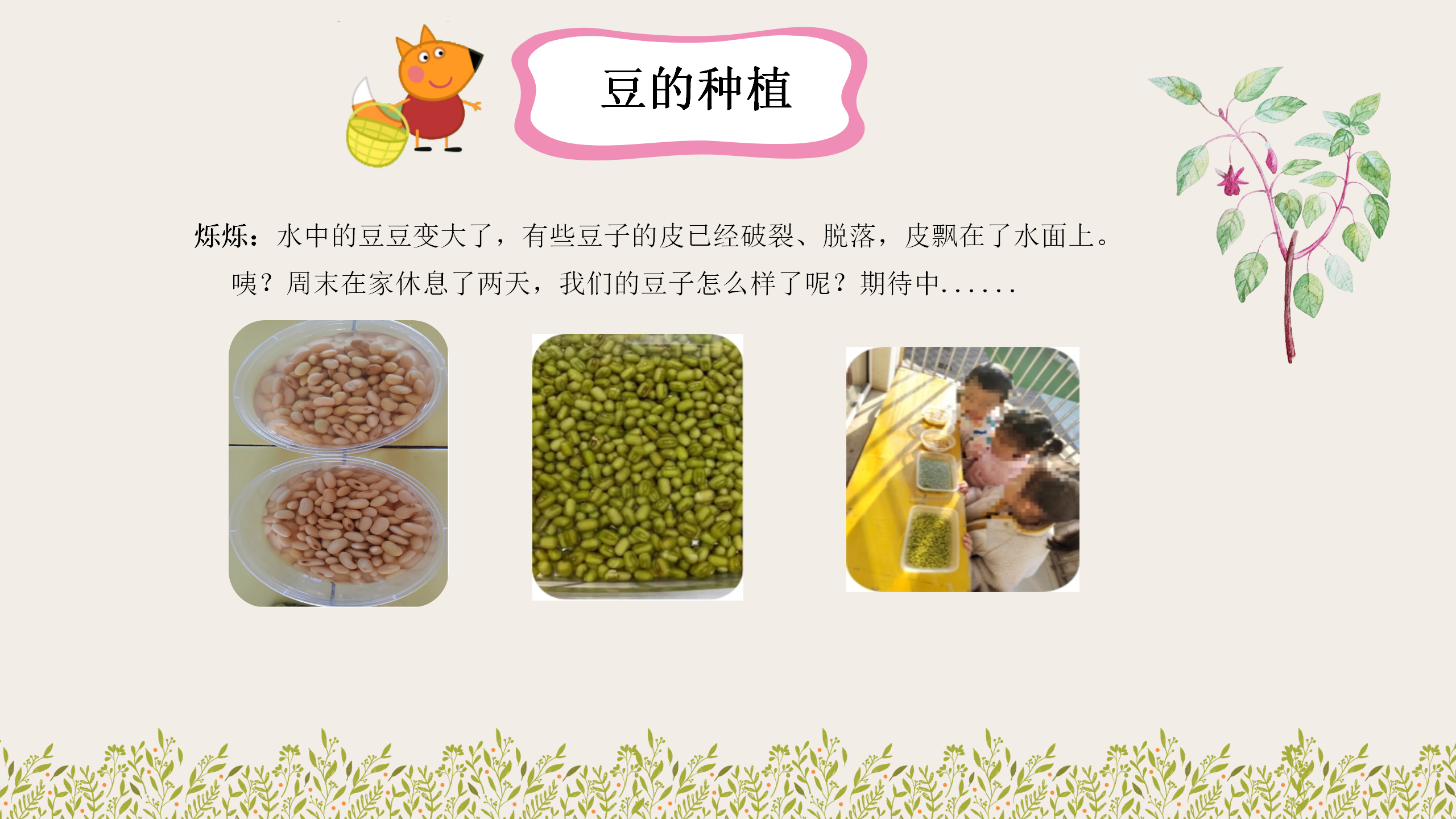 小班课程故事《因豆而起》_幼儿园班本课程_18.png