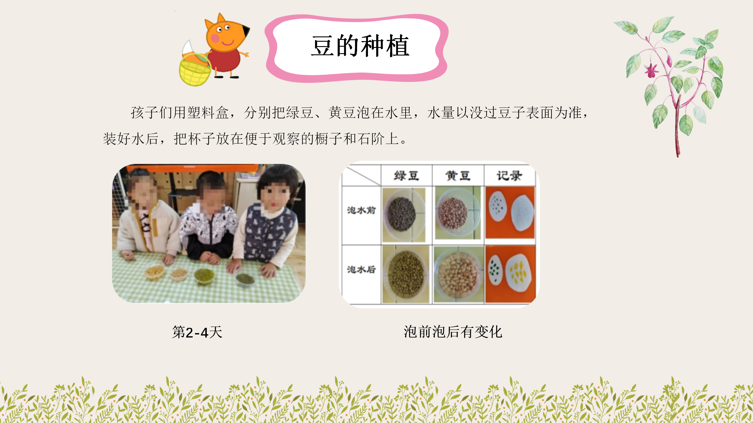 小班课程故事《因豆而起》_幼儿园班本课程_17.png
