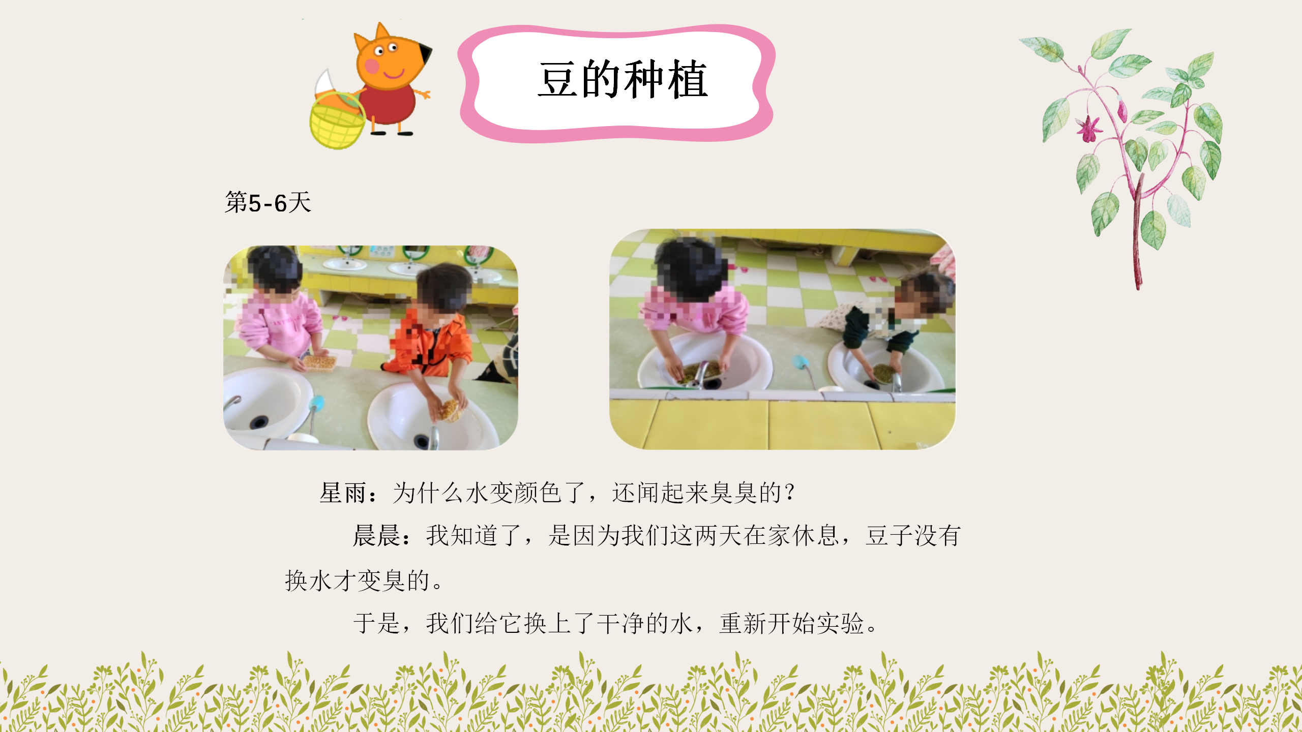 小班课程故事《因豆而起》_幼儿园班本课程_19.png
