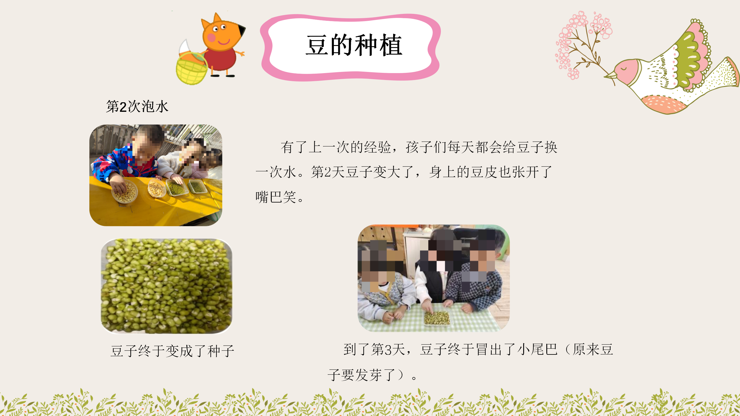 小班课程故事《因豆而起》_幼儿园班本课程_21.png